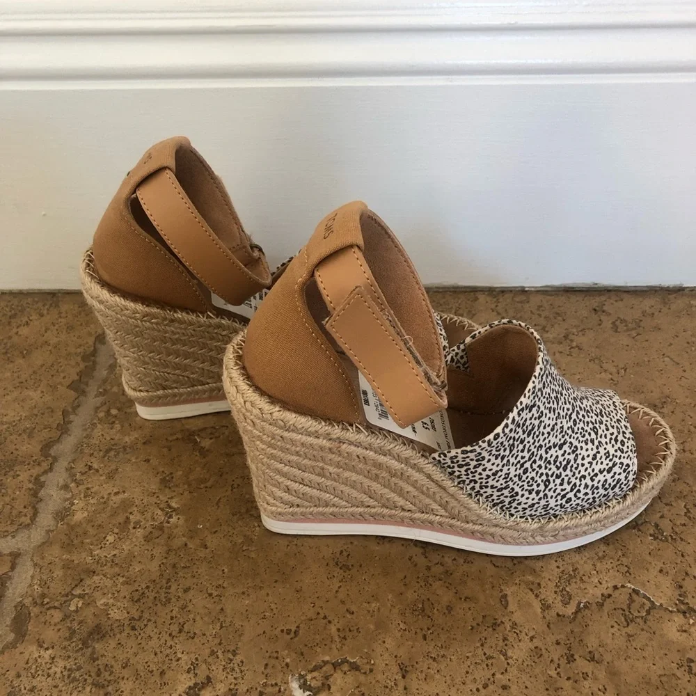 Toms from afternoon
